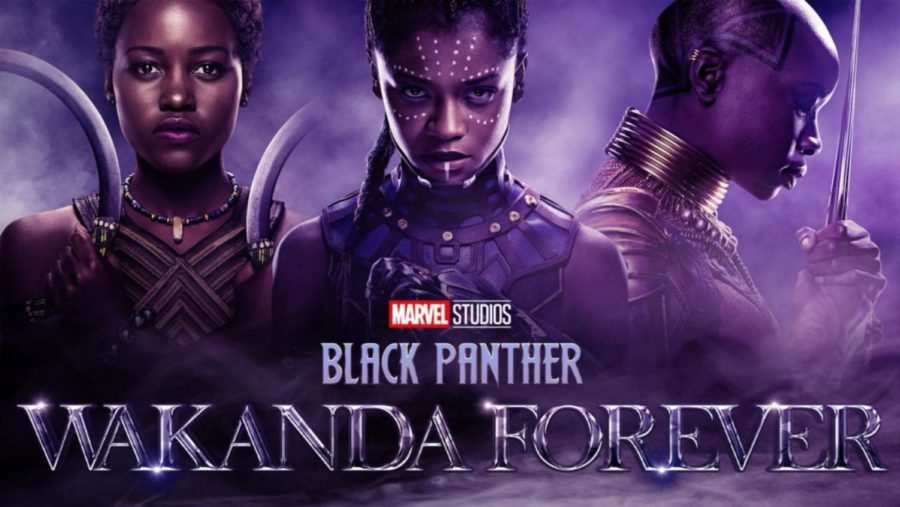 Black Panther vs. Wakanda Forever