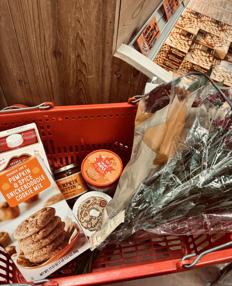 Trader Joe's is your one stop shop for your fall favorites, I know my basket is filled with fall treats and flowers to match.