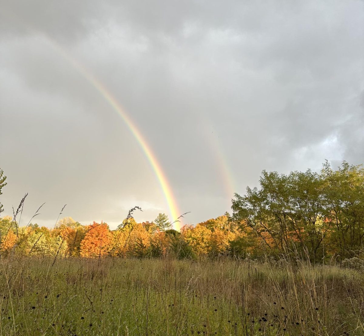 Photo of a gorgeous fall scene taken while walking at a nature preserve, after a rain storm.