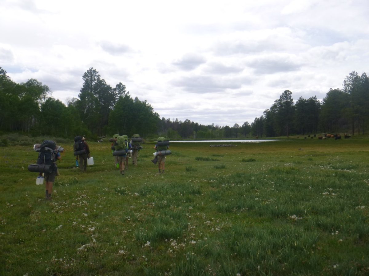 Team Rise arriving at their campsite for the night after a hike. 