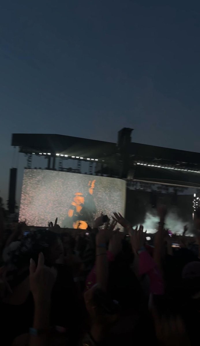 Concert at Coachella 2025