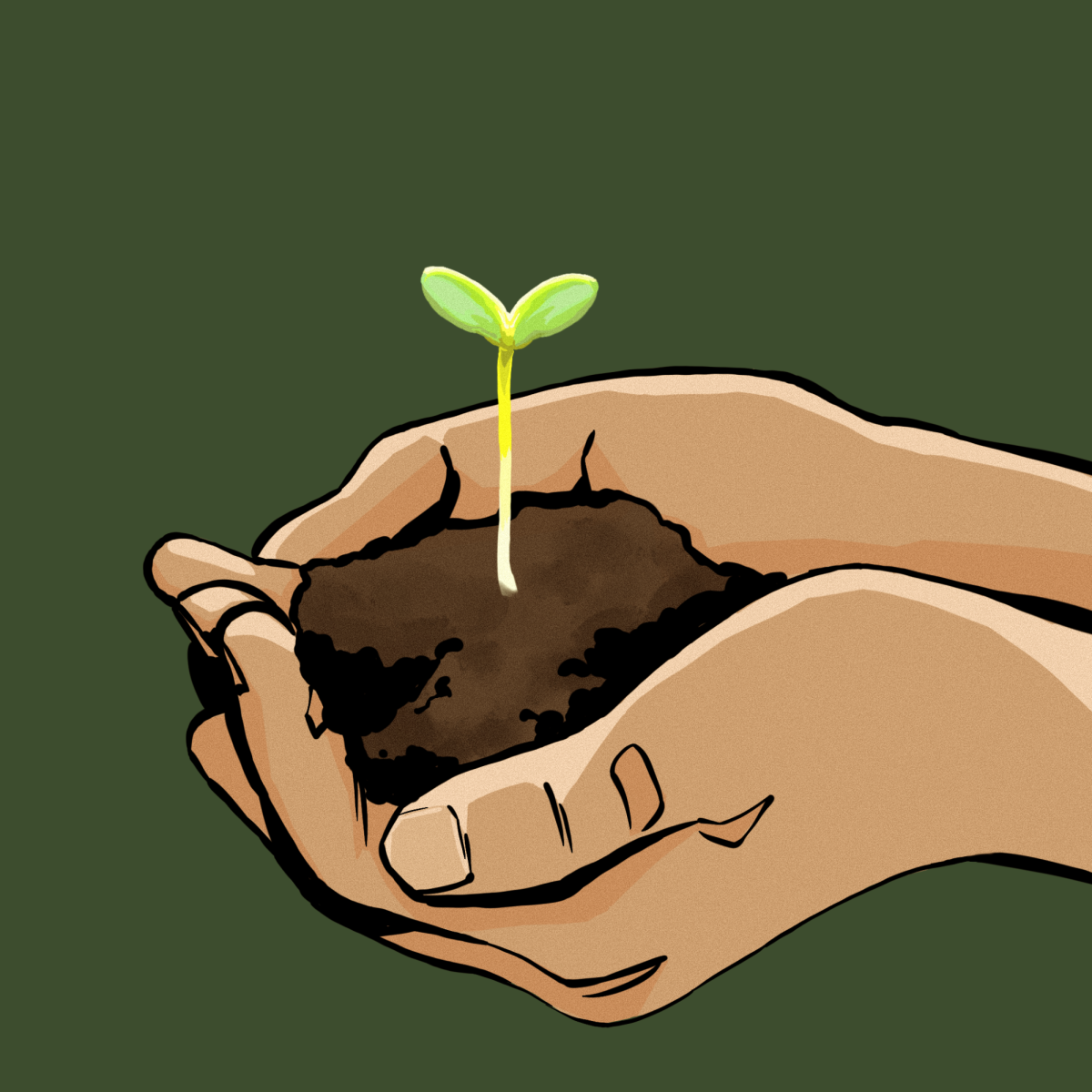 A digitally drawn picture of a pair of hands cupping soil with a small plant emerging.