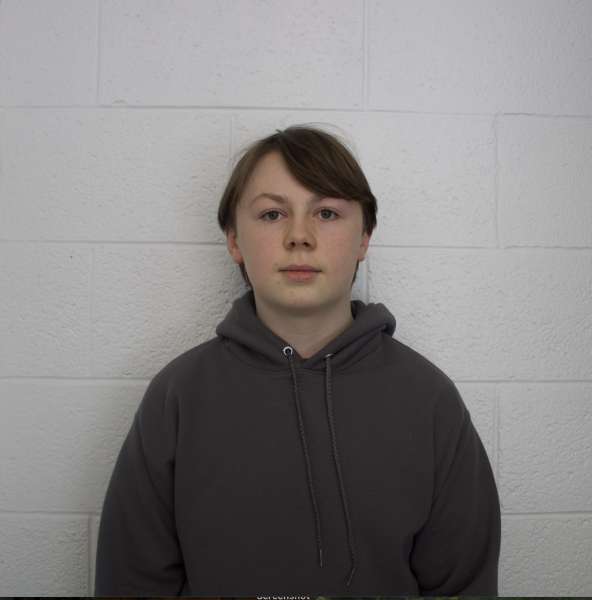 Sullivan McCann